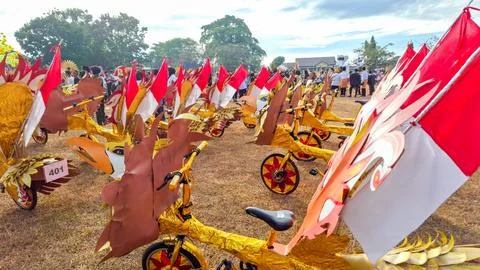 Rows of uniquely decorated bicycles lined up on the grass field Stock Photos