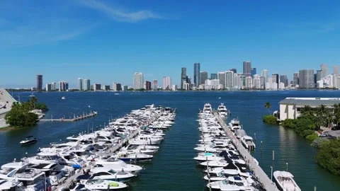 Rows of upper-class yachts at anchor park and modern american megapolis on Stock Footage 256724081