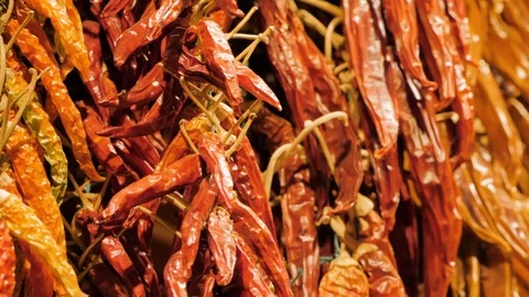 Rows of variety chilli peppers hang together in bunches at market stall, La Stock Footage 122768583