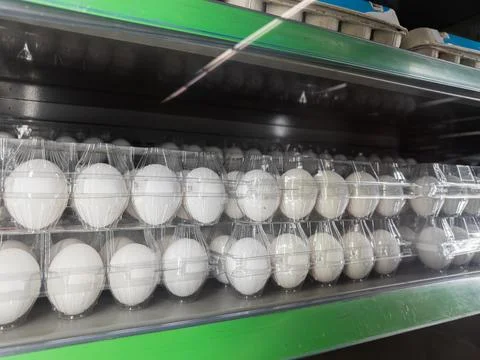 Rows of white chicken eggs inside transparent plastic cartons on a supermar.. Stock Photos