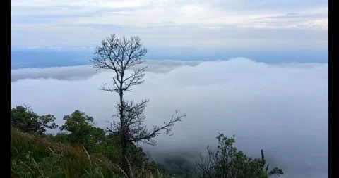 Rows of white clouds Stock Footage 288414642