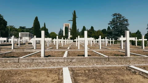 Rows Of White Crosses In Cemetery Stock Footage 336511276