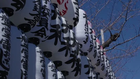 Rows Of White Paper Lanterns With Kanji At A Japanese Shrine Stock Footage 340595792