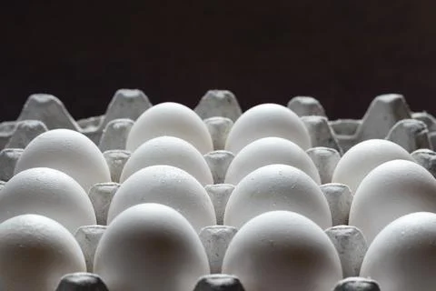 Rows of white poultry eggs Stock Photos