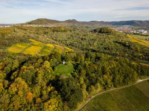 Rows of wine in autumn - vineyards in fall colors in Metzingen near Stuttgart Stock Photos