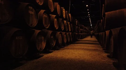 Rows of wine barrels Video stock 105241918