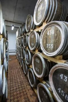 Rows of wine barrels in vaults at the winery. Stock Photos