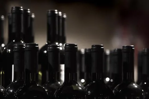 Rows of wine bottles. Stock Photos