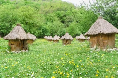 Rows of wooden bee hives covered with straw stand in a meadow of yellow flowe Stock Photos