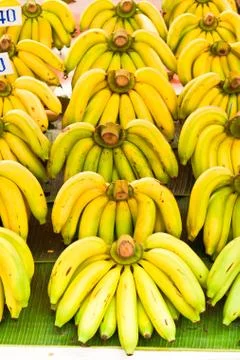 Rows of yellow bananas Stock Photos