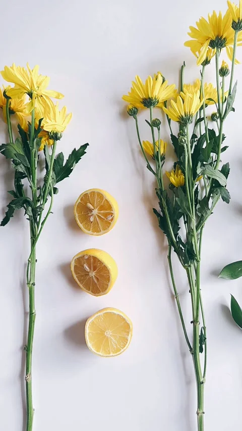 Rows of yellow flowers and lemons Stock Footage 271433973
