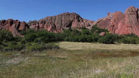 Roxborough State Park-- Pack of Deers by Large Red Rock Video stock 8678712