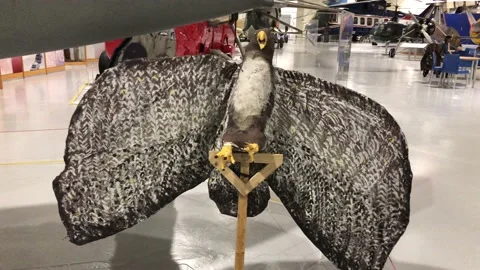 ROYAL AIRFORCE MUSEUM Stock Footage 135616336