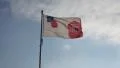 The Royal British Legion Stop and Remember 11 11 11 Flag waving in wind, RBL HD Footage