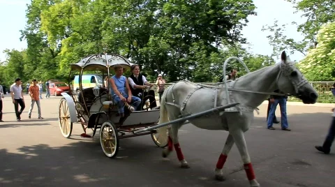 Royal carriage Stock Footage 736250