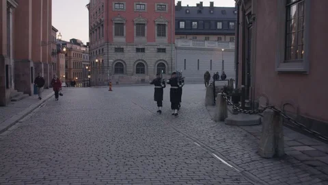 Royal Castle guards Vídeo Stock 109584702