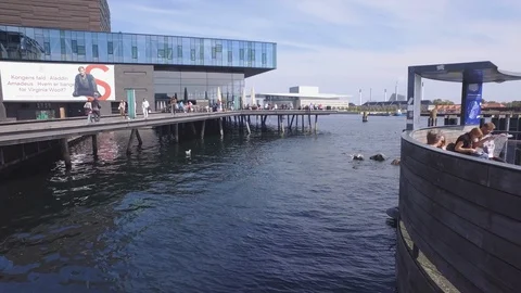 The Royal Danish Playhouse Video stock 101418798