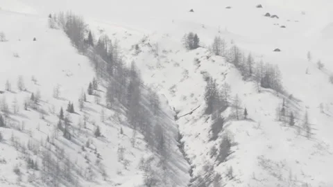 Royal eagle in the Alps at winter, S-log, 4K available 스톡 동영상 321226493