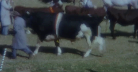 Royal Easter Show Sydney 60s Vintage 3 Video stock 46680149