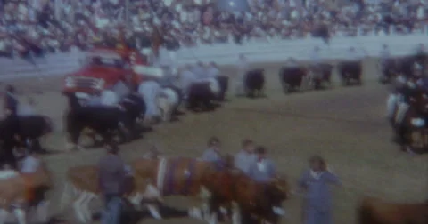 Royal Easter Show Sydney 60s Vintage 2 Stock Footage 46683435