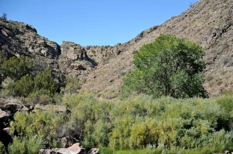 Royal Gorge Stock Photos