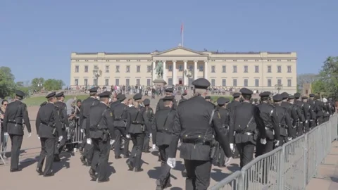 Royal Guard Marching to the Royal Palace on Constitution Day Stock-Footage 341676790