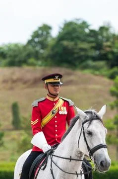 Royal guards Stock Photos