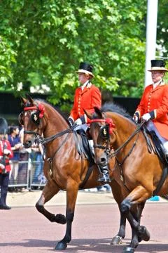Royal Guards Stock Photos