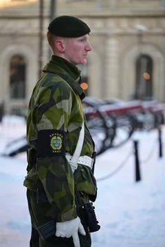 Royal Guards. Stock Photos