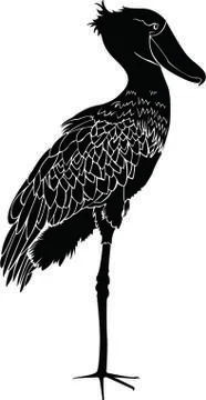 Royal Heron Stock Illustration