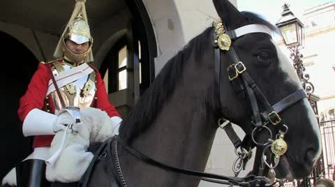Royal Horse Guards 動画素材 11518095