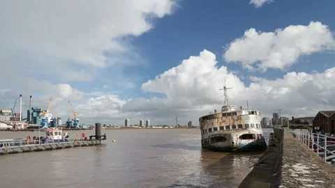 Royal Iris on the river Thames Stockbeeldmateriaal 209961599