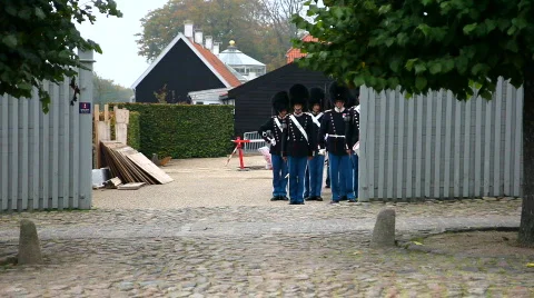 Royal Lifeguard marching  Stock Footage 874673