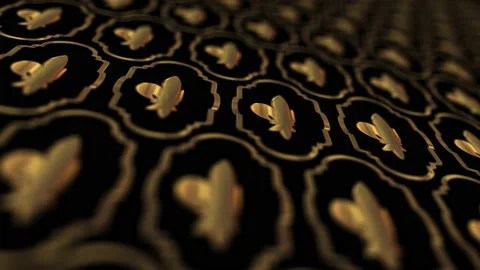 Royal lily angle view from down to top 4K with alpha 库存影片 99290940