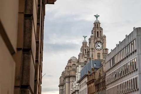 Royal Liver Building clock tower viewed along Water Street Stock Photos