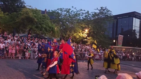 Royal Medieval Knight Parade on Draped Horses at Night. Video stock 336008760