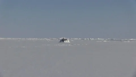 Royal Navy Attack Submarines during ice exercise in Artic Ocean - 2018 Stock Footage 94382361
