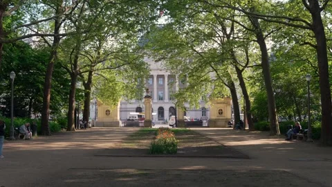 Royal Palace of Brussels viewed from the Parc de Bruxelles Park Europe urban Vidéo 329088791