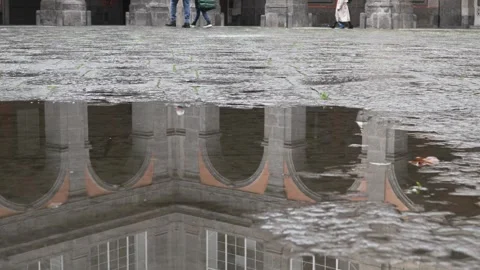 Royal Palace of Naples - Reflection in Puddle on Cobblestones. Stock Footage 328351015