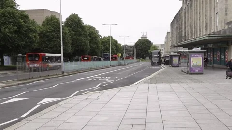 Royal Parade Stock Footage 133123947