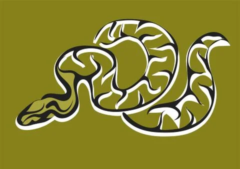 Royal python Stock-Illustration