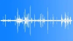 Royal Tern MCU CallsSound Effect