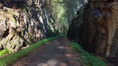 RR Trail Keene 8-4-26.MP4 Stock Footage 341711081