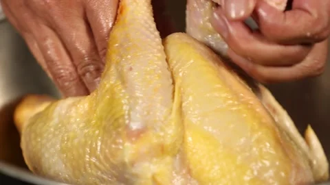 Rub three yellow chicken (5) Video stock 202167496