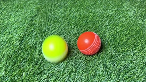 Rubber ball on green grass background Stock Footage 276183365