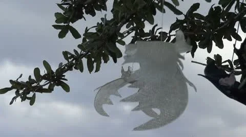 Rubber Bats Stock Footage 8963038