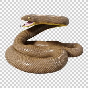 Rubber Boa Pose Illustrazione stock
