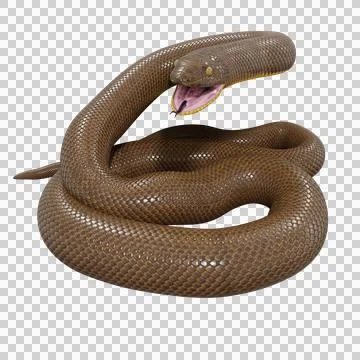 Rubber Boa Pose Stock-Illustration