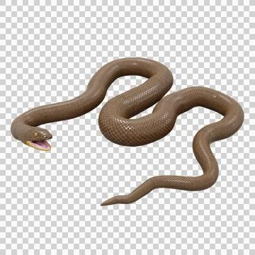 Rubber Boa Pose Illustrazione stock