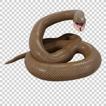Rubber Boa Pose Illustrazione stock